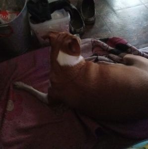 Meet your Posher, Eldon